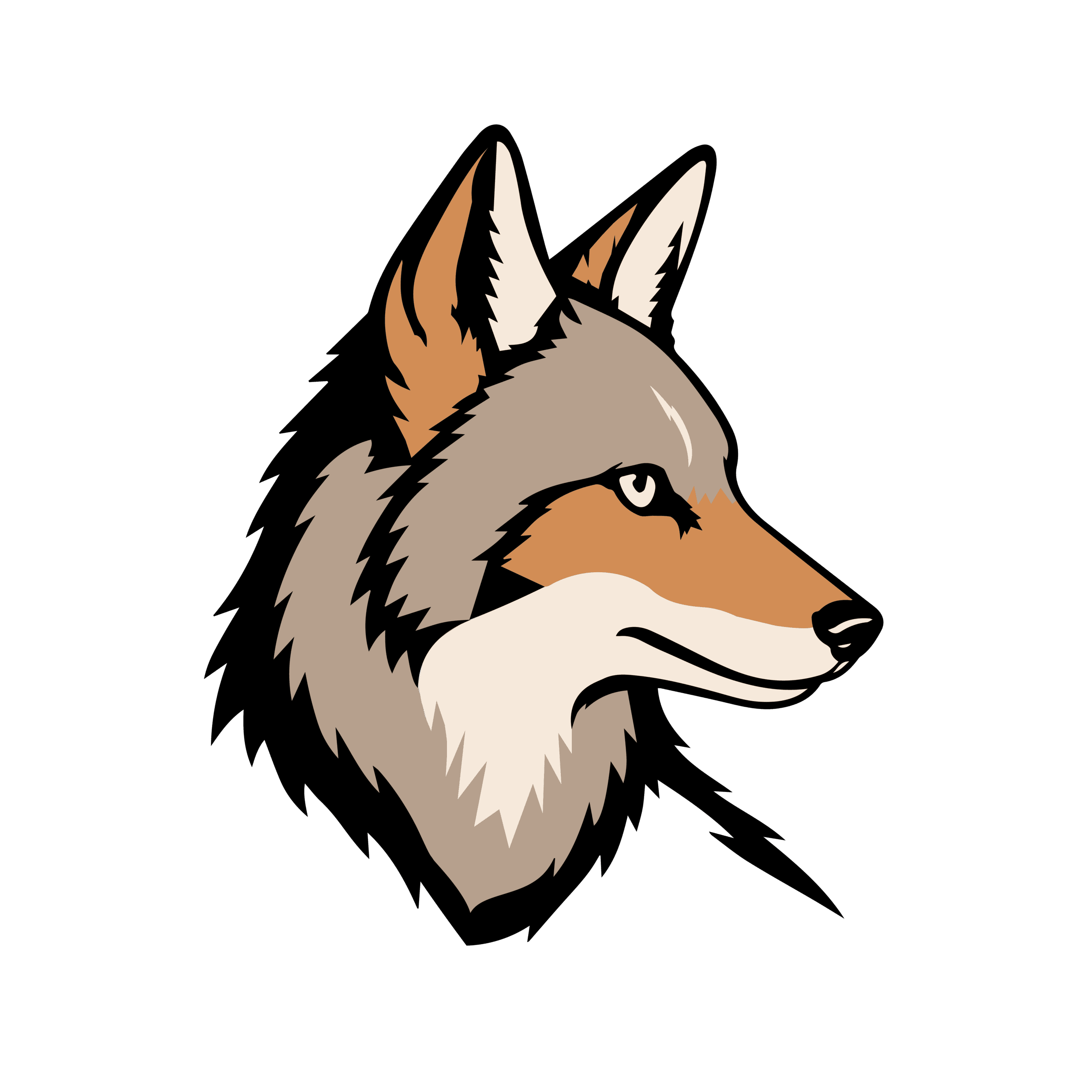 Coyote Aircraft Service